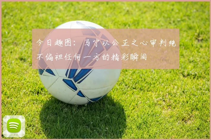 今日趣图：马宁以公正之心审判绝不偏袒任何一方的精彩瞬间